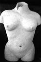 female torso