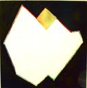 poliakoff white