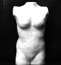 small female torso